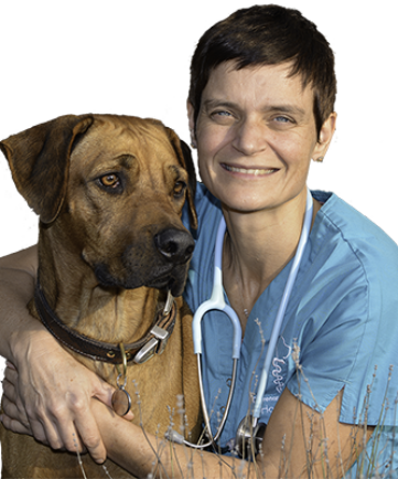 Dr Ingrid Van TIchelen Ingrid Van Tichelen is lid van de vakgroep chirurgie. Verder legt zij zich toe op voortplanting.
