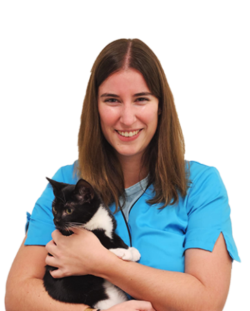 Kim is bachelor in de agro-en biotechnologie, afstudeerrichting dierenzorg. Ze heeft een passie voor dieren omringt al onze patiënten met heel grote zorg.