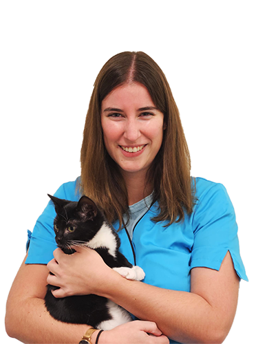 Kaat is bachelor in de agro-en biotechnologie, afstudeerrichting dierenzorg. Ze heeft een passie voor dieren omringt al onze patiënten met heel grote zorg.